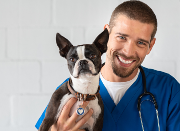 Comfortable Veterinary Scrubs for Long Shifts